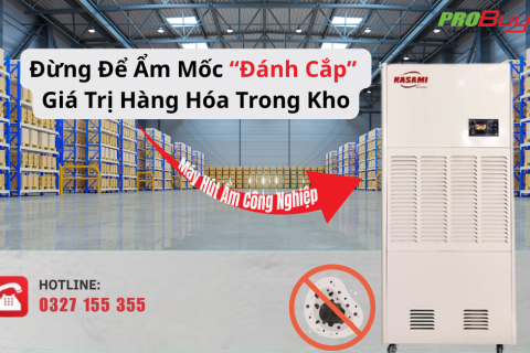 Đừng Để Ẩm Mốc “Đánh Cắp” Giá Trị Hàng Hóa Trong Kho – Giải Pháp Với Kasami KD-180