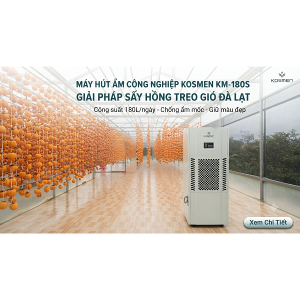 BÍ QUYẾT SẤY HỒNG TREO GIÓ ĐÀ LẠT KHÔNG LO MƯA NỒM VỚI MÁY HÚT ẨM KOSMEN KM-180S